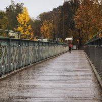 Осенние дожди ... :: Светлана Мельник