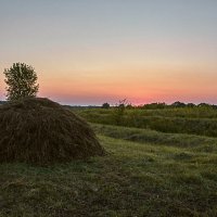 Лето :: Александр Тулупов