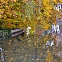 Осень в Эльзасе :: Милана Гиличенски 
