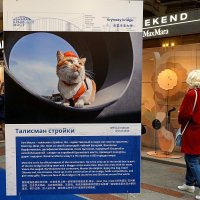 Талисман стройки века кот Мостик. :: Татьяна Помогалова