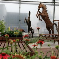 Дизайнерские кони и свинка для интерьера дачи-двора) :: Тамара Бедай 