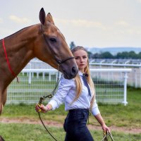 Ахалтекинская лошадь :: Николай Николенко