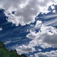 Облака, облака, белогривые лошадки.. :: Андрей Заломленков
