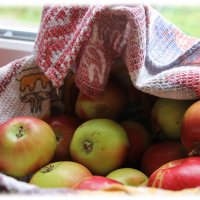 Отведайте наших яблочек.... :: Tatiana Markova