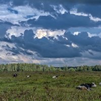 Начало августа :: Валерий Иванович