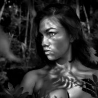 Портрет девушки в лесу на закате.... :: Андрей Войцехов