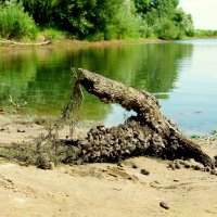 кресло водяного :: Александр Прокудин