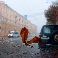 вот и осенью повеяло (полило)... :: Александр Прокудин