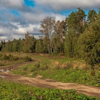 Вдоль леса по разбитой дороге :: Валерий Иванович