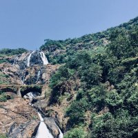 Водопад Дудхсагар :: Марина 