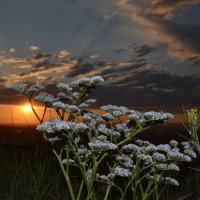 Мирный закат солнца,22 июня   ....Как это было... :: Андрей Хлопонин