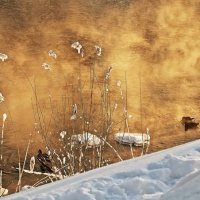 Yellow river :: Александр Капустин
