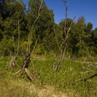 контрасты природы :: Петр Беляков