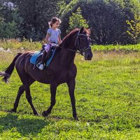 Юная наездница. :: Роланд Дубровский