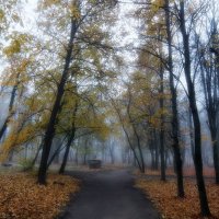 Осенний парк :: Михаил 