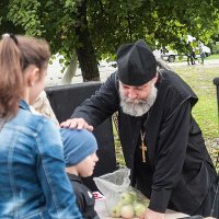 Благословение. :: Владимир Безгрешнов