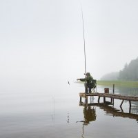 Рыбалка туманным утром :: Михаил Онипенко