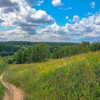 Летние просторы... :: Владимир Жданов