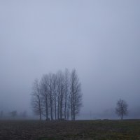 В тумане :: Tatiana Kravchenko