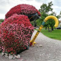 В парке Тростей цветочные зонтики :: veera v