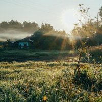 утро в деревне :: Екатерина 