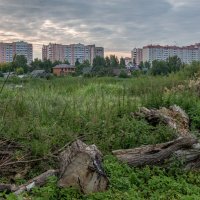 Бурьян в центре города... (Конаково) :: Михаил "Skipper"