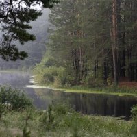 Утро туманное. :: Александр Гурьянов