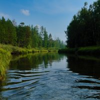 Спокойное течение сибирской реки :: Сергей Шаврин