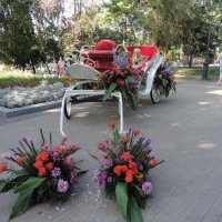 Фестиваль цветов :: марина ковшова 