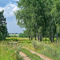 Полевая дорожка :: Дмитрий Конев