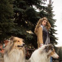 Прогулка с собаками :: Ольга Осипова