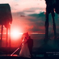 Свадьба в стиле Звёздный Воин STAR WARS Wedding :: Артур Хорошев