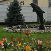 "Черный дельфин" :: марина ковшова 