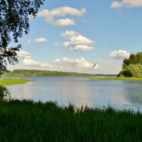 впадение р.Качалки в Волгу :: Валентина. .