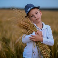 пшеница :: Irina Novikova