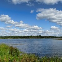 Смоленские озёра (из поездки по области) :: Милешкин Владимир Алексеевич 