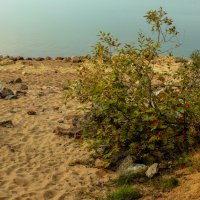 Пляжи Финского залива. :: Юрий Слепчук