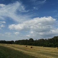 В полях :: ОКСАНА ЮРЬЕВНА ШВЕЦ