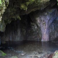 Живая пещера :: Виталий Купченко