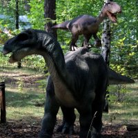 динозавры :: ольга хакимова