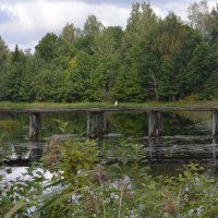 Мосты через реку Торопу и белая цапля... :: Владимир Павлов