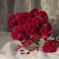 Букет с розами. :: Нина Андронова