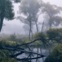 Омуток в тумане ... :: Roman Lunin