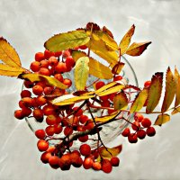 Кружение Осени. :: ЛЮБОВЬ ВИТТ 
