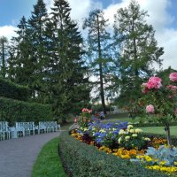 В Екатерининском парке :: Сапсан 