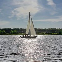 Пейзаж с лодками. :: Liudmila LLF