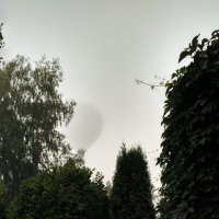 Шарик в тумане :: Tanja Gerster