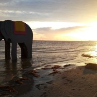 Одним из символов курортного города Пярну считается слон :: Елена Павлова (Смолова)