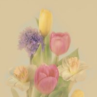 Тюльпаны, нарциссы и гиацинты :: Ольга Бекетова