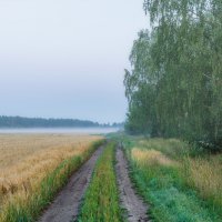 *** :: Виктор Желенговский